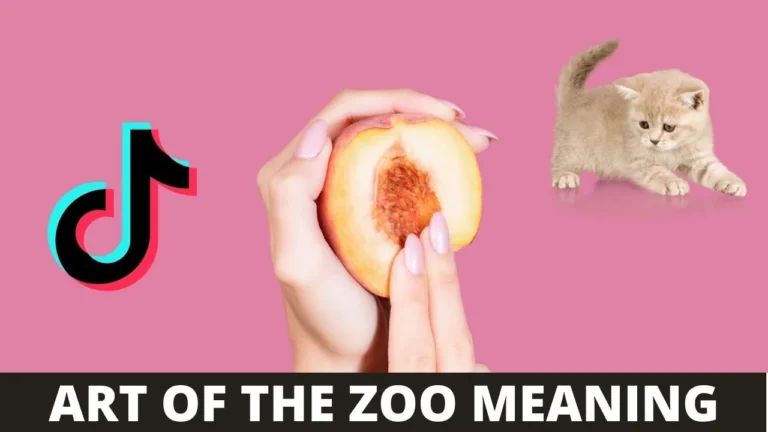 Art of Zoo: Meaning :Why It is Trending on TikTok
