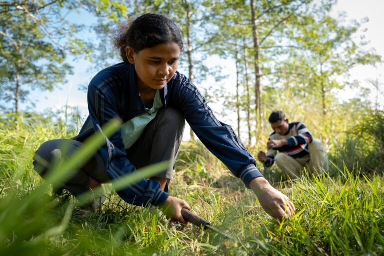 Ashempudel: Pioneering Environmental Conservation in Nepal’s Modern Landscape