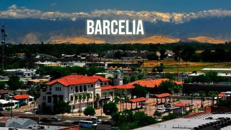 Barcelia: An Emerging Innovation in Sustainable Technology