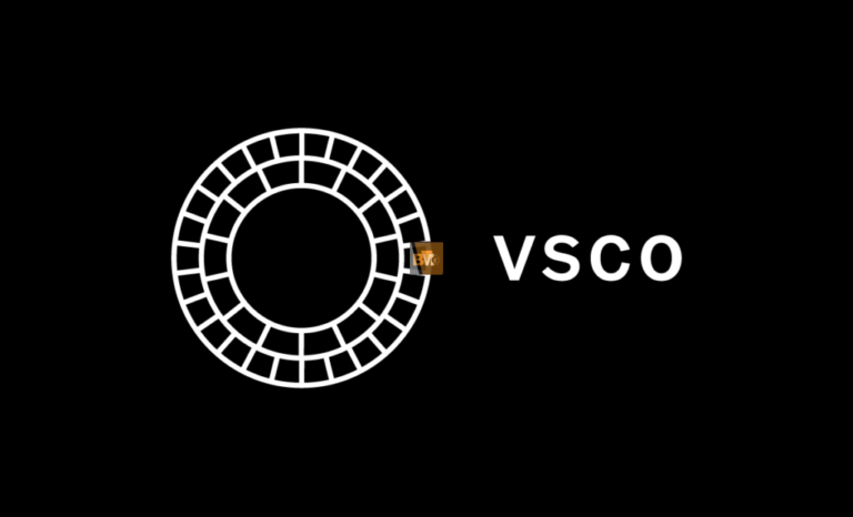 VSCO People Search: Finding and Connecting with Creators