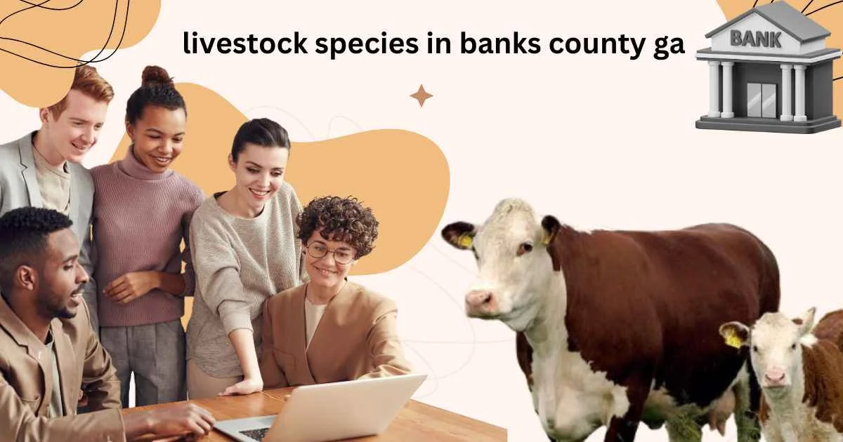 What the Top Livestock Species in Morgan County GA